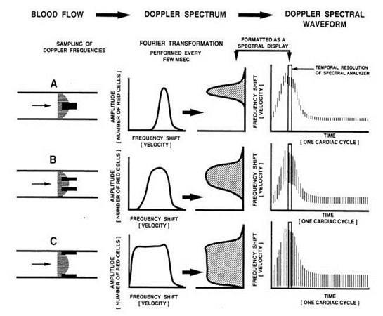 FFourier to Spectral