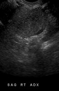 sag R.jpg